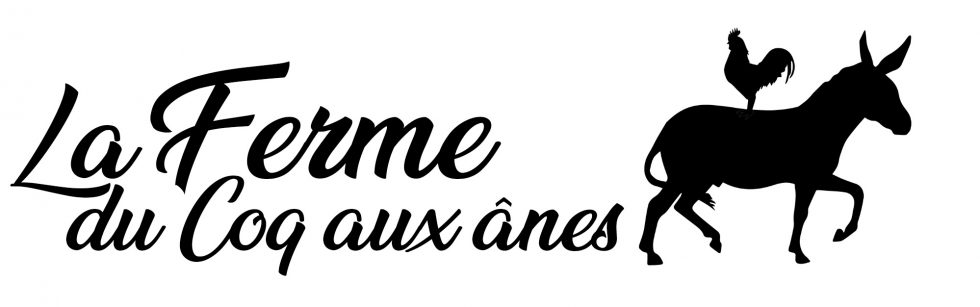 La ferme du coq aux anes | Ferme pédagogique